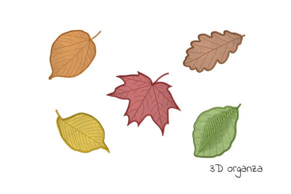 Autumn Leaves Set: A Designer’s Review