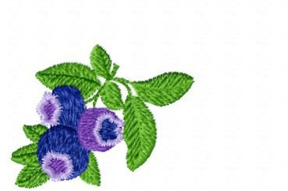Blueberry Embroidery: A Seller’s Review for Etsy Shops